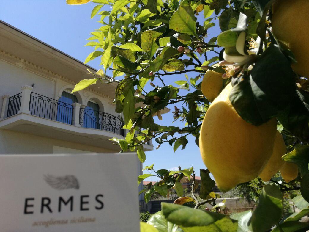 アヴォラ Ermes Bed & Breakfast エクステリア 写真